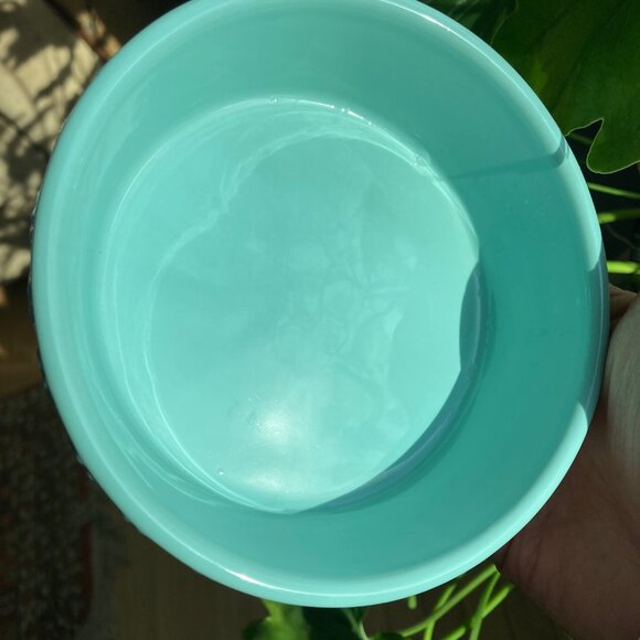 Signature Feed Me Pet Food Water Bowl Excellent Condition - Picture 2 of 3